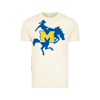 Vintage Arctic mcneese  athletics Vintage Tee - PixelFlow