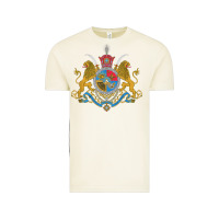 Vintage Arctic Iran Coat of arms Flag souvenir Iranian Persian Vintage Tee - PixelFlow