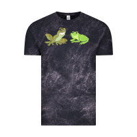 Cloud Black The Princess and the Frog Tiana and Naveen Art Vintage Tee - SnappyArt