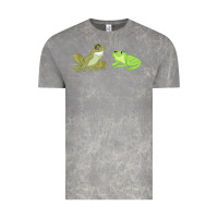 Cloud Rock The Princess and the Frog Tiana and Naveen Art Vintage Tee - SnappyArt