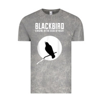 Cloud Rock blackbird singing in the dead of night t shirt Vintage Tee - FloraArt