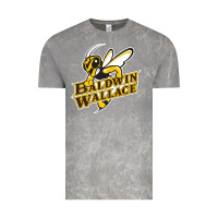 Cloud Rock Baldwin wallace university yellowjackets Vintage Tee - FloraArt