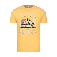 Vintage Mustard acadia national park maine nature hike outdoors vintage t shirt Vintage Tee - ArtMosaic