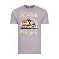 Vintage Zinc acadia national park maine nature hike outdoors vintage t shirt Vintage Tee - ArtMosaic
