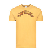 Vintage Mustard Don Williams - American country singer Vintage Tee - ArtMosaic
