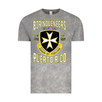 Cloud Rock Borinqueneers Puerto Rico Flag Honor Et Fidelitas Vintage Tee - ArtMosaic