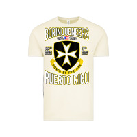 Vintage Arctic Borinqueneers Puerto Rico Flag Honor Et Fidelitas Vintage Tee - ArtMosaic