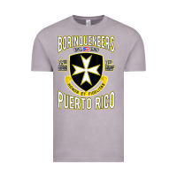 Vintage Zinc Borinqueneers Puerto Rico Flag Honor Et Fidelitas Vintage Tee - ArtMosaic