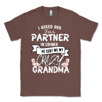 Chestnut I Asked God For a Partner In Crime He Sent Me My Crazy Grandma Classic Tee - Bettercallsaul