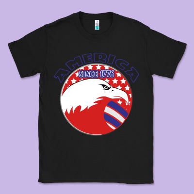 America Since 1776 Classic Tee Designed By Bettercallsaul