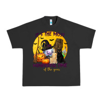 Pigment Black It's The Most Wonderful Time of The Year Urban Heavy Tee - texasbilliewilder