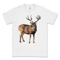 White Mule Buck Deer Classic Tee - LillyAllenDesigns