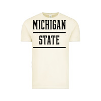 Vintage Arctic Michigan MI State vintage Athletic Style Vintage Tee - artisFamous