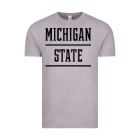 Vintage Zinc Michigan MI State vintage Athletic Style Vintage Tee - artisFamous