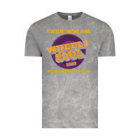 Cloud Rock tedeschi truck 1 Vintage Tee - artisFamous