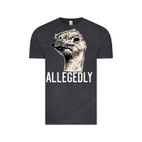 Vintage Black letterkenny allegedly ostrich funny Vintage Tee - artisFamous