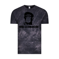 Cloud Black viva la evolucion Vintage Tee - artisFamous