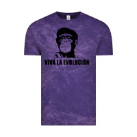 Cloud Purple viva la evolucion Vintage Tee - artisFamous
