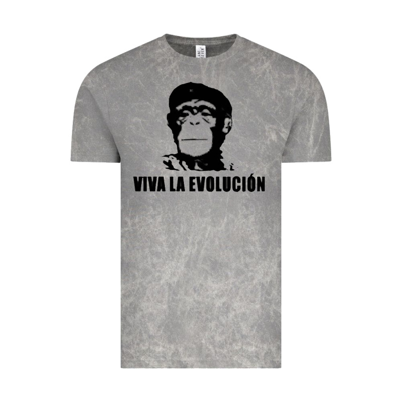 Viva La Evolucion Vintage Tee by artisFamous | Teevron