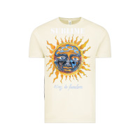 Vintage Arctic licensed vintage sublime, gift for women men t shirt Vintage Tee - artisFamous