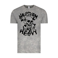 Cloud Rock Skull I like It Heovy Halestorm Vintage Tee - artisFamous