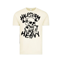 Vintage Arctic Skull I like It Heovy Halestorm Vintage Tee - artisFamous