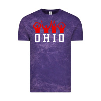 Cloud Purple vintage state of ohio home pride Vintage Tee - artisFamous