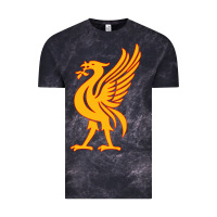 Cloud Black liverpool bird license plate Vintage Tee - artisFamous
