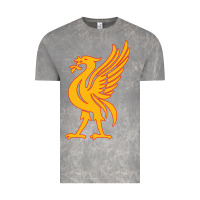 Cloud Rock liverpool bird license plate Vintage Tee - artisFamous