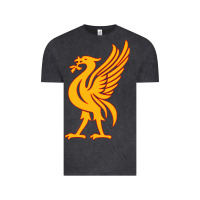 Vintage Black liverpool bird license plate Vintage Tee - artisFamous