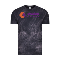 Cloud Black hawaiian airlines Vintage Tee - artisFamous