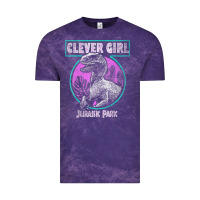 Distressed Teal Raptor Clever Girl T Shirt Vintage Tee | Teevron