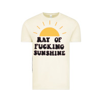 Vintage Arctic ray of sunshine Vintage Tee - artisFamous