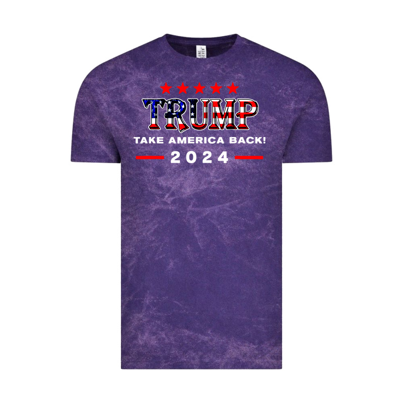 Donald Trump 2024 Take America Back Election Vintage Tee by artisFamous | Teevron