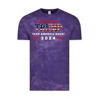 Cloud Purple donald trump 2024 take america back election Vintage Tee - artisFamous