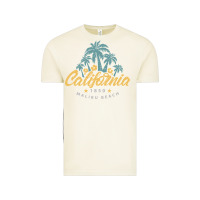 Vintage Arctic california malibu beach Vintage Tee - artisFamous