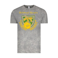 Cloud Rock holyhead harpies Vintage Tee - artisFamous