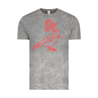 Cloud Rock democratic socialists of america Vintage Tee - artisFamous