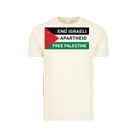 Vintage Arctic end is.rae.li apartheid free pales  flag  t shirt Vintage Tee - artisFamous