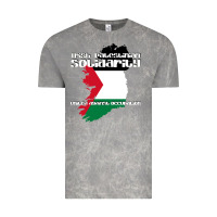 Cloud Rock irish palestinian solidarity Vintage Tee - artisFamous