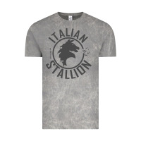 Cloud Rock Italian Stallion Vintage Tee - artisFamous
