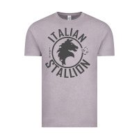Vintage Zinc Italian Stallion Vintage Tee - artisFamous