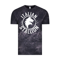 Cloud Black Italian Stallion Vintage Tee - artisFamous