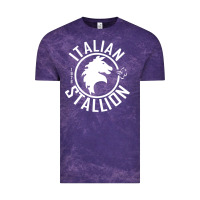 Cloud Purple Italian Stallion Vintage Tee - artisFamous