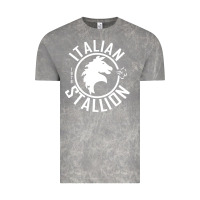 Cloud Rock Italian Stallion Vintage Tee - artisFamous