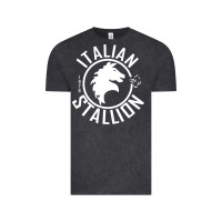 Vintage Black Italian Stallion Vintage Tee - artisFamous