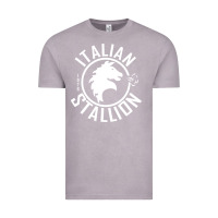 Vintage Zinc Italian Stallion Vintage Tee - artisFamous