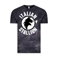 Cloud Black italian stallion Vintage Tee - artisFamous