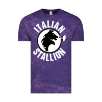 Cloud Purple italian stallion Vintage Tee - artisFamous