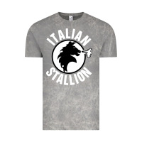 Cloud Rock italian stallion Vintage Tee - artisFamous